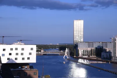 DSC_1774 (Large).JPG